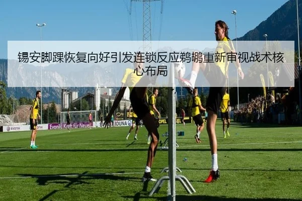 锡安脚踝恢复向好引发连锁反应鹈鹕重新审视战术核心布局